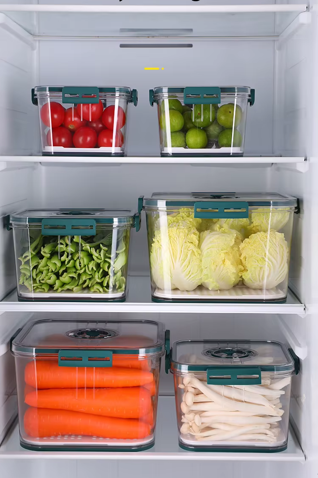 Geladeira organizada